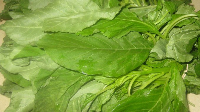 ’తోటకూర‘ పోషక విలువల్లో రారాణి