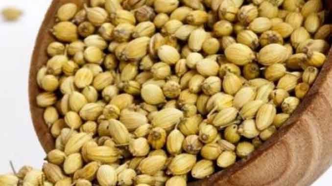 ధనియాలు-Coriandrum Sativum-ఉపయోగాలు