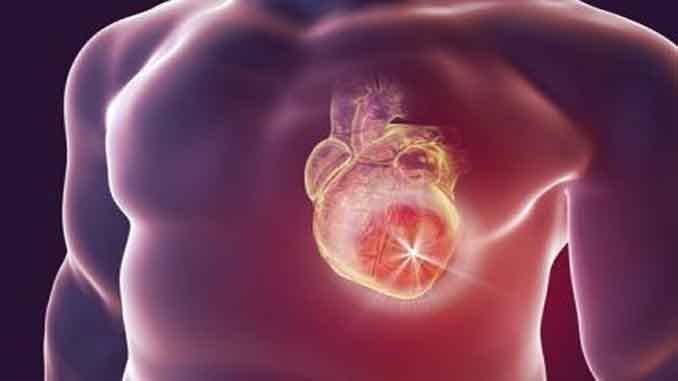 గుండె వ్యాధులను నివారించవచ్చిలా…