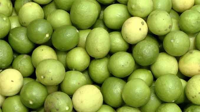‘నిమ్మ’ తో కలుగు ఆరోగ్యం