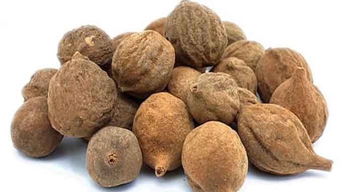 తాని చెట్టుతో త్రిదోషాలు మాయం (Terminalia Bellerica, Berlic Myrlaballam)