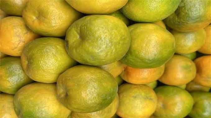కమలాఫలము పైత్య హరము