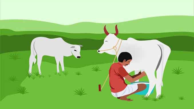 గుమ్మపాలతో జ్వరాలు మాయం
